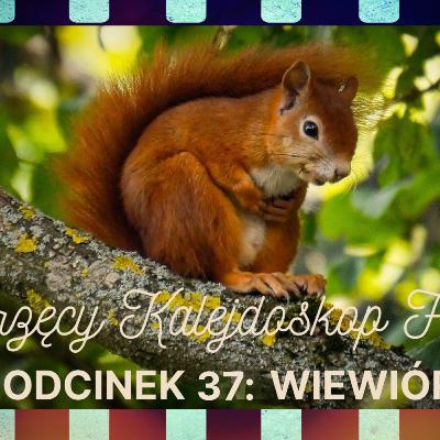 Zwierzęcy Kalejdoskop Filmowy - Odc. 37: Wiewiórka