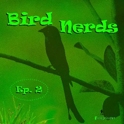 Ep 2. Exploring our Neighborhood Scrubland (Part 2)