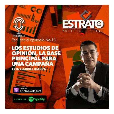 13.- Los estudios de opinión, la base para una campaña