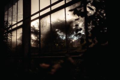 Ist Freundlichkeit immer gut? (+Reaktion auf Rezo & Julia Beautx) #058