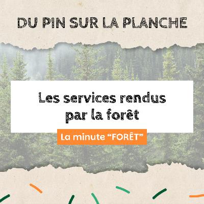Les services rendus par la forêt - Minute Forêt Les services rendus par la forêt - Minute Forêt