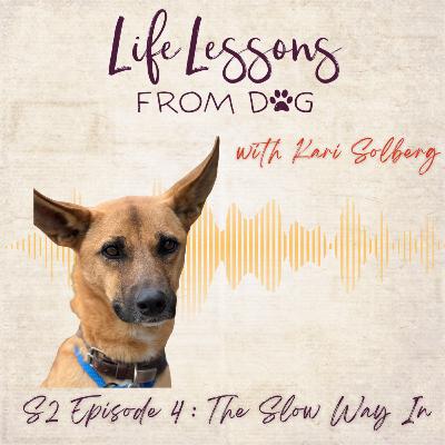 The Slow Way In: How Roo Taught Me to Let Go of the Plan