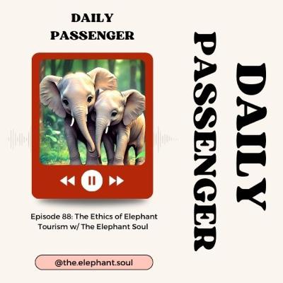 88: The Ethics of Elephant Tourism w/ The Elephant Soul 88: The Ethics of Elephant Tourism w/ The Elephant Soul