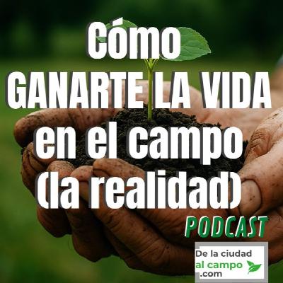 Cómo ganarse la vida en el campo (sin autoengaños - Experiencia REAL)