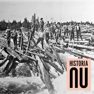 När Norrlands gröna guld flottades ut