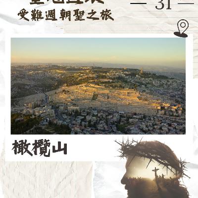 (普、简) 天天「灵」 听👂🏻🕊 2026年3月31日(二) ✨《圣地游踪》受难周朝圣之旅✨ ☘️景点名称：橄榄山