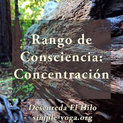 Tejiendo el Yoga Sutra: Rango de consciencia - concentración Tejiendo el Yoga Sutra: Rango de consciencia - concentración