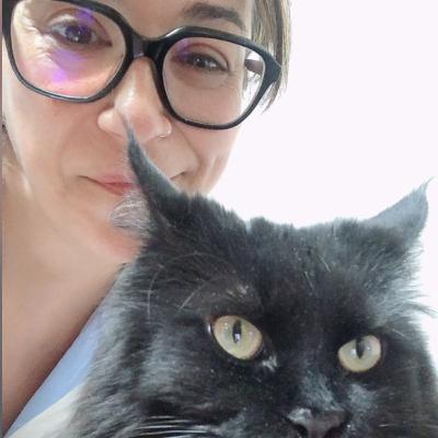 Episodio 23 T2: Mi gato se ha perdido o se ha escapado!!