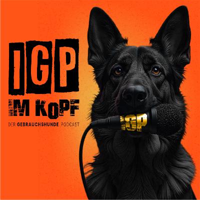 50: „Fifty Shades of IGP“