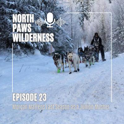 Morgan Martens Last Season as a Junior Musher