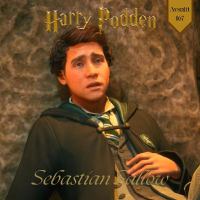 Sebastian Sallow Sebastian Sallow