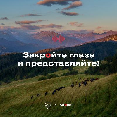 Северное сияние в Териберке — полярный спектакль танцующего неба.