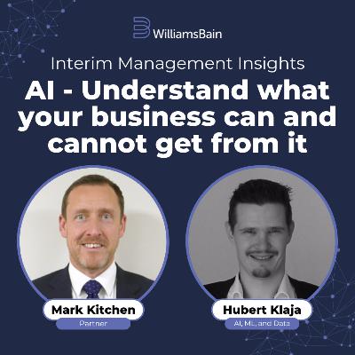 AI - Understand what your business can and cannot get from it - Hubert Klaja