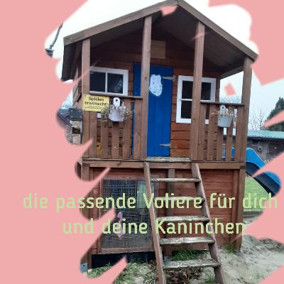 Die passende Voliere für deine Kaninchen finden 🐰