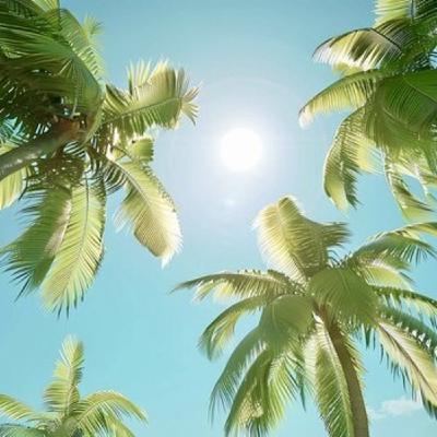 Episode 7: 2024 Afro House Summer Mix