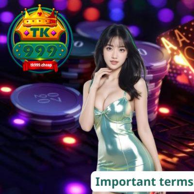 Tk999 Casino