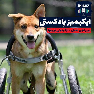 ایکیمیز پادکستی | بیرینجی فصلین ایکینجی اپیزودو