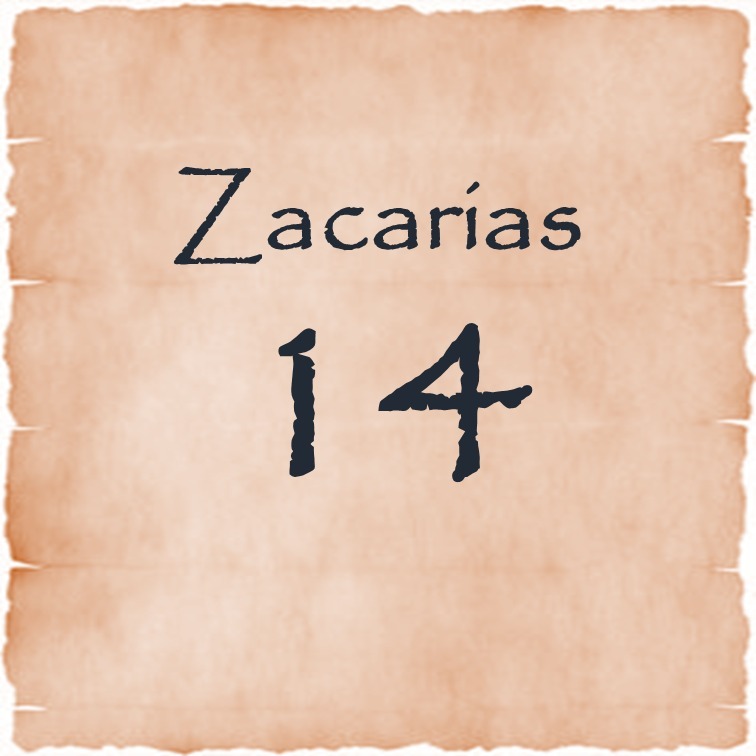 Zacarias 14 episode artwork