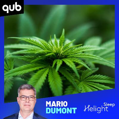 Vapoteuses à cannabis: «La SQDC a une approche TRÈS rigoureuse», affirme un fournisseur