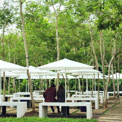 Komunikasi Non Verbal (Non Verbal Message)