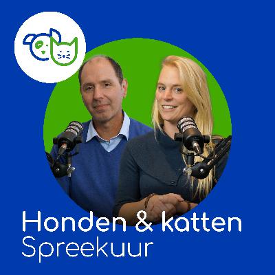 Op spreekuur: Laat je tanden zien Op spreekuur: Laat je tanden zien