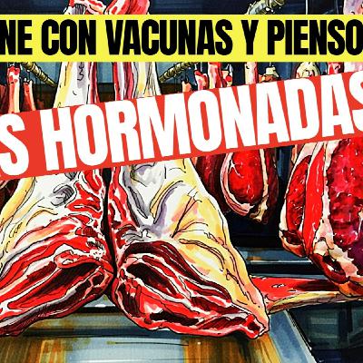 COMER VACAS HORMONADAS ES BUENO