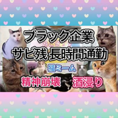 【酒浸りでアルコール依存が酷かった時代】サービス残業&通勤時間2時間弱のブラック企業で働き精神を病んでいた頃の仕事環境の話【猫ミームを添えて】 #猫ミーム 【酒浸りでアルコール依存が酷かった時代】サービス残業&通勤時間2時間弱のブラック企業で働き精神を病んでいた頃の仕事環境の話【猫ミームを添えて】 #猫ミーム