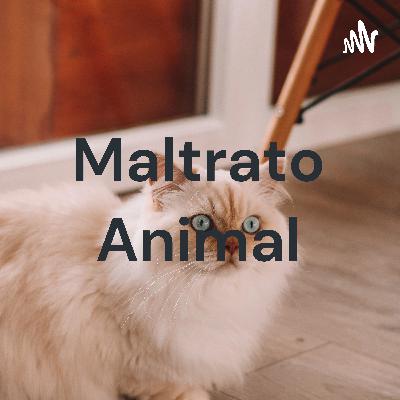 Maltrato Animal (Trailer)