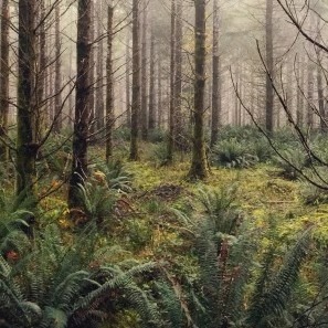 Bushnell Trophy Cam - Best for 2020?