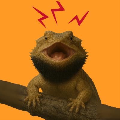 EP48 :: Principais sinais de estresse em répteis e como evitar