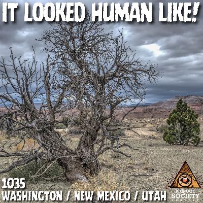 Three Bigfoot Cross a Road in Washington — Then It Gets Darker