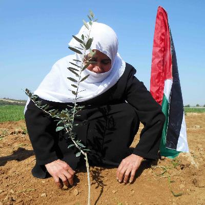 En Gaza No Recibirán El Nobel (Poesía)