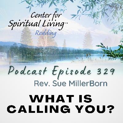 Ep. 329 What is Calling You? - Rev. Sue MillerBorn Ep. 329 What is Calling You? - Rev. Sue MillerBorn