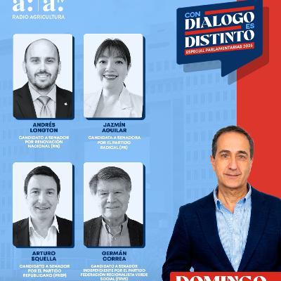 CDED Especial Parlamentarias 2025 | Circunscripción 6: Propuestas para la Región de Valparaíso