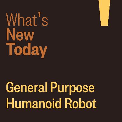 General Purpose Humanoid Robot General Purpose Humanoid Robot