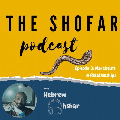 Episode 3 - Narcissists in Relationships