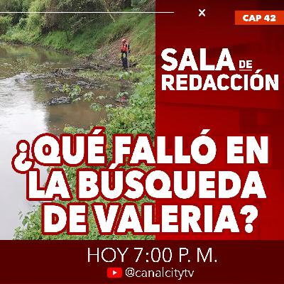 ¿Qué falló en la búsqueda de Valeria Afanador?