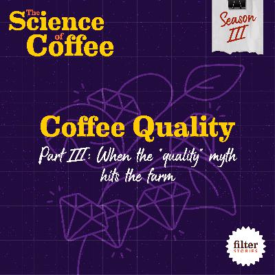 Coffee Quality, Part 3: When the “quality” myth hits the farm
