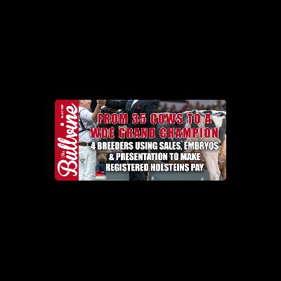 E512 From 35 Cows to a WDE Grand Champion: 4 Breeders Using Sales, Embryos & Presentation to Make Registered Holsteins Pay E512 From 35 Cows to a WDE Grand Champion: 4 Breeders Using Sales, Embryos & Presentation to Make Registered Holsteins Pay