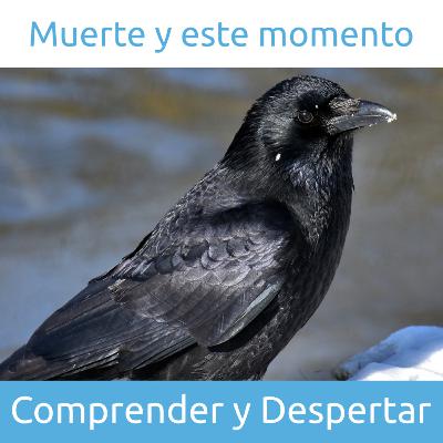 Muerte y este momento