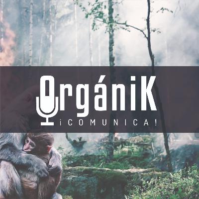 “OrgániK” - ¡Comunica! - 003 “OrgániK” - ¡Comunica! - 003