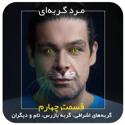 مرد گربه‌ای / قسمت چهارم / گربه‌های اشرافی، گربه بازرس، تام و دیگران