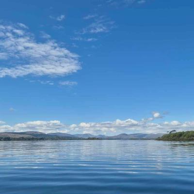 La mise à jour hebdo de la pêche à la ligne Irlandaise, 20 juin 2025
