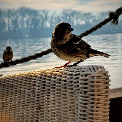 Zašto deca čačkaju nos?