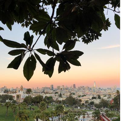 Ep. 1 - Ambient Sounds: Spring Birds in San Francisco Ep. 1 - Ambient Sounds: Spring Birds in San Francisco