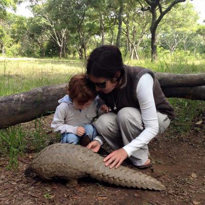 1.15 Sarah Savory and Holistic Storytelling - Learning To Make Decisions Like A Human
