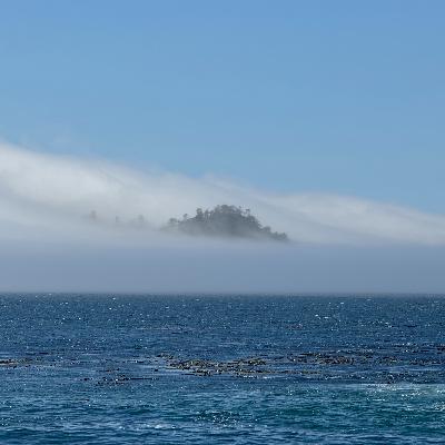 Mostly Good Environmental News #11 Mostly Good Environmental News #11