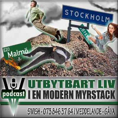 UTBYTBART LIV I EN MODERN MYRSTACK UTBYTBART LIV I EN MODERN MYRSTACK