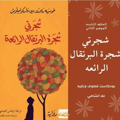 شجرتي شجرة البرتقال الرائعة شجرتي شجرة البرتقال الرائعة