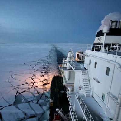 China schreibt Geschichte: Die Nordostpassage könnte die Weltwirtschaft umwälzen China schreibt Geschichte: Die Nordostpassage könnte die Weltwirtschaft umwälzen